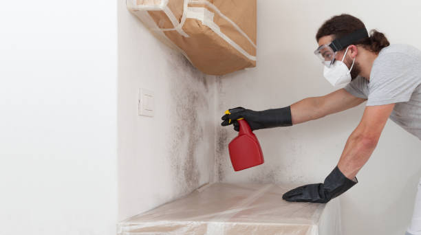 Professional Mold Inspection And Testing technician working in Marlborough, MA